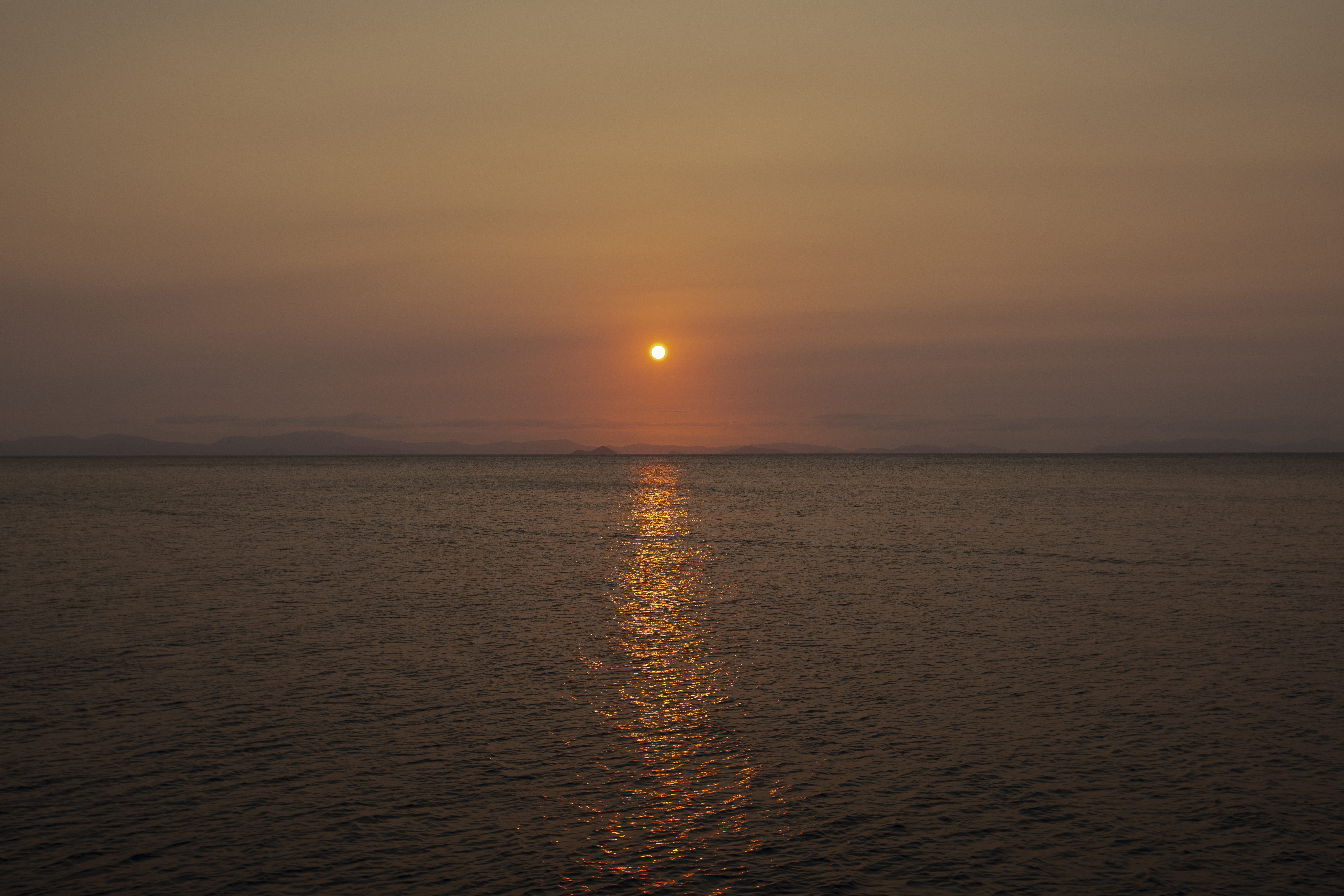 'Taste of the Tropics' Sunset Dinner Cruise